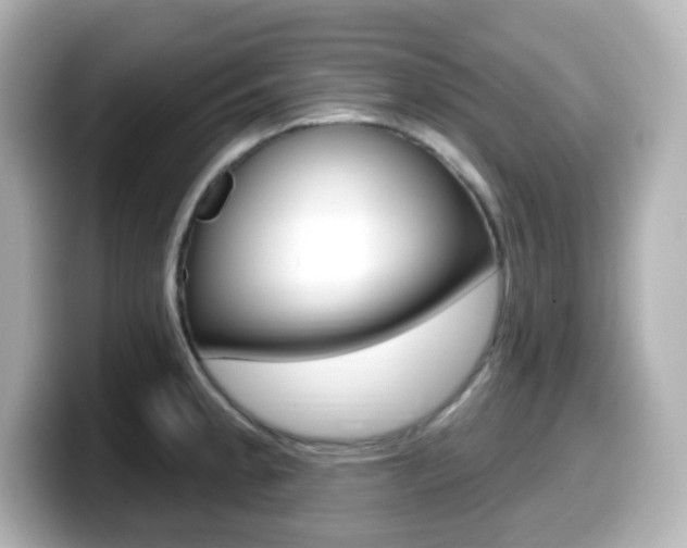 X0000099381189200805081153
