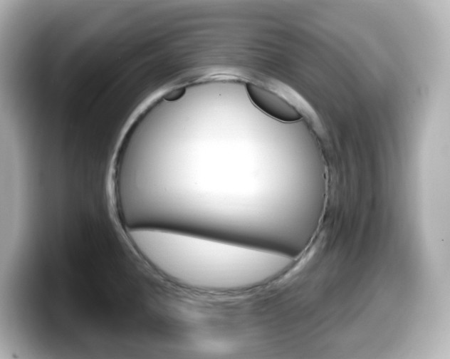 X0000099381190200805081153