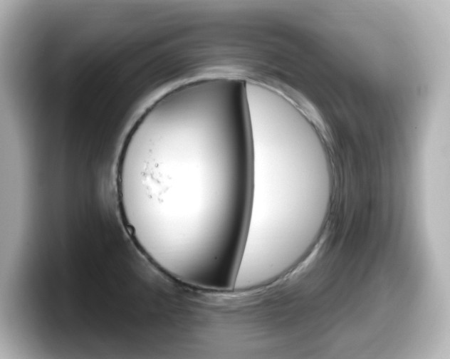 X0000099381192200805081153