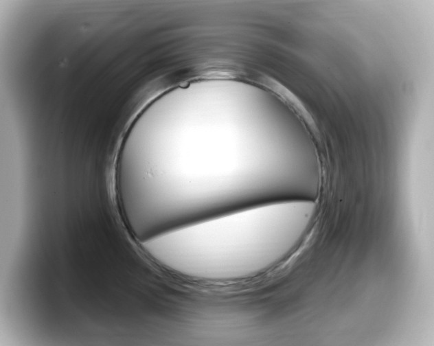 X0000099381194200805081153