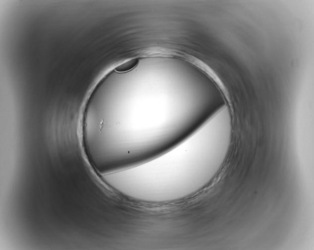 X0000099381195200805081153