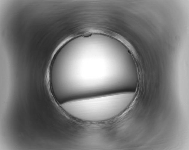 X0000099381198200805081153