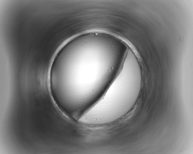 X0000099381199200805081153