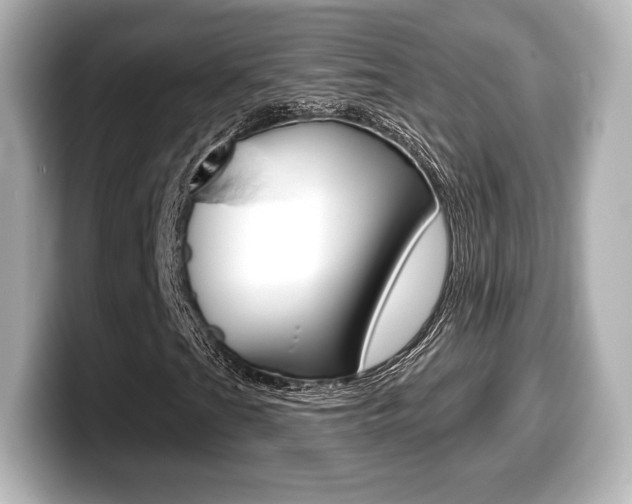 X0000099381201200805081152