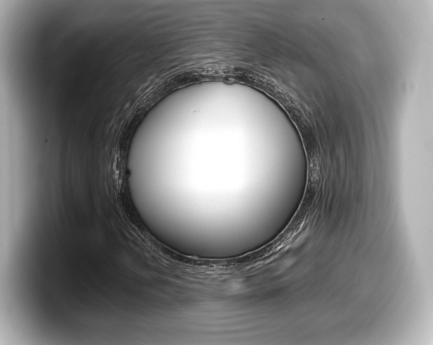 X0000099381202200805081152