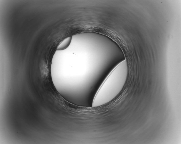 X0000099381204200805081152