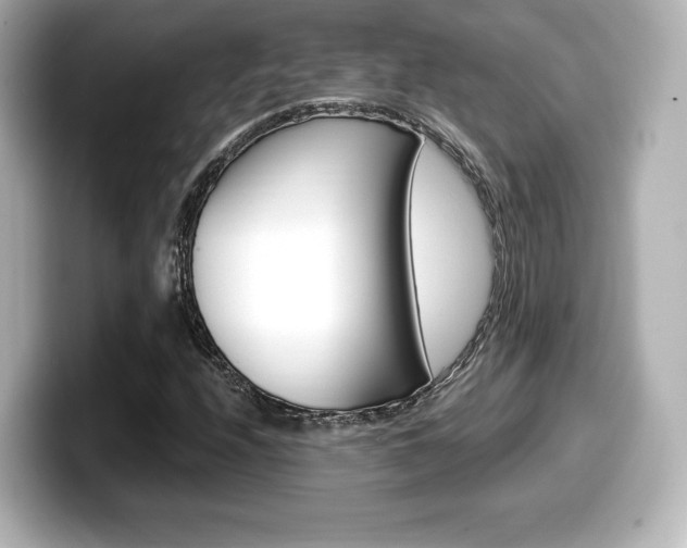 X0000099381208200805081152