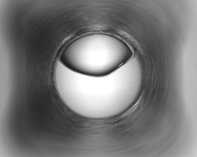 X0000099381210200805081152
