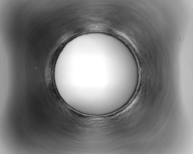 X0000099381211200805081152
