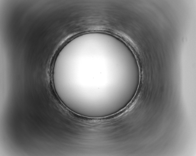 X0000099381212200805081152