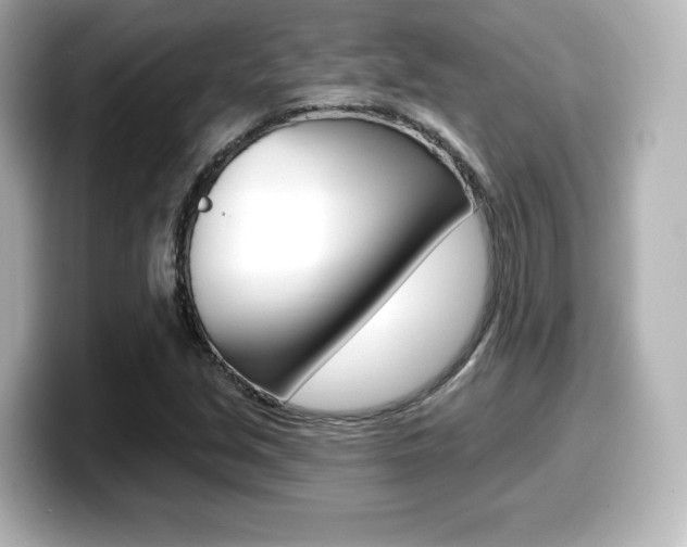 X0000099381213200805081152