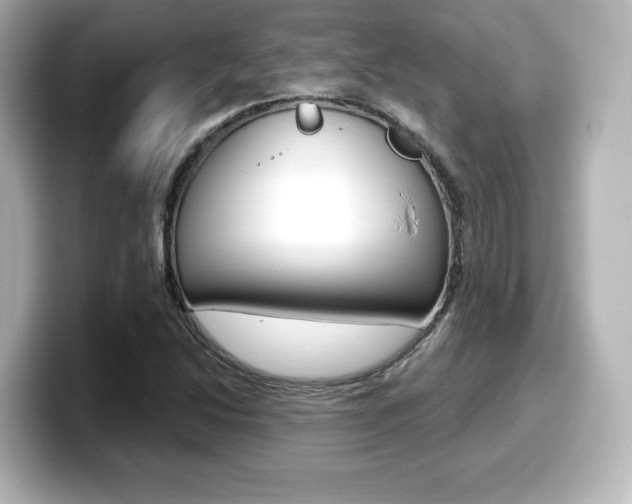 X0000099381214200805081152