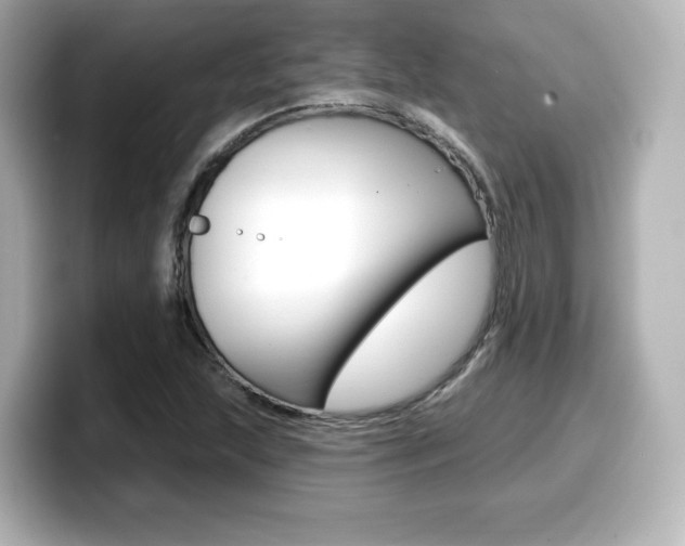 X0000099381215200805081152