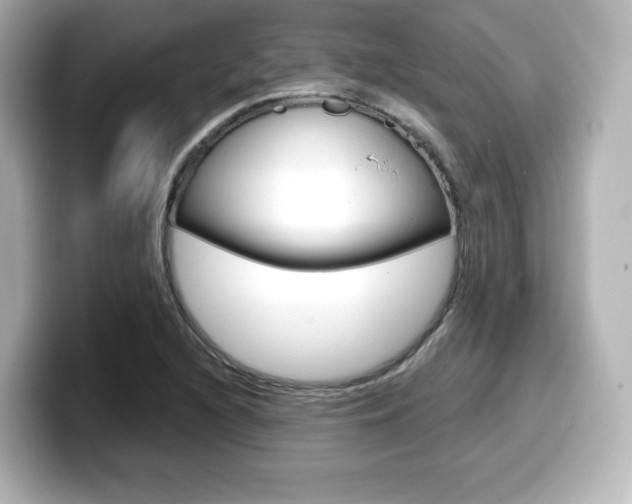 X0000099381216200805081152