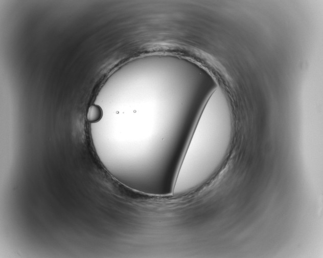X0000099381217200805081152