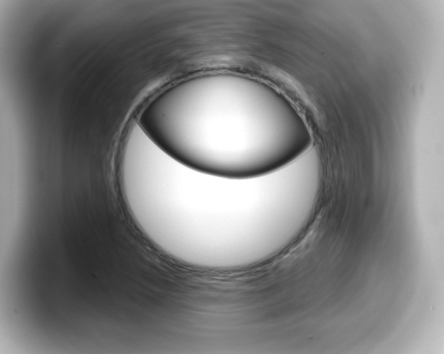 X0000099381218200805081152