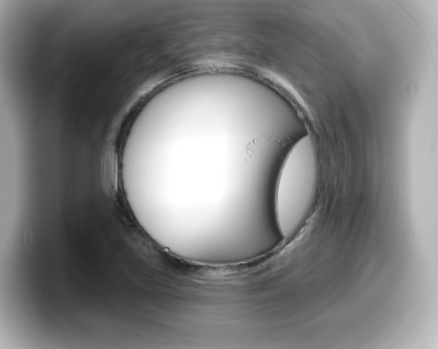 X0000099381219200805081152