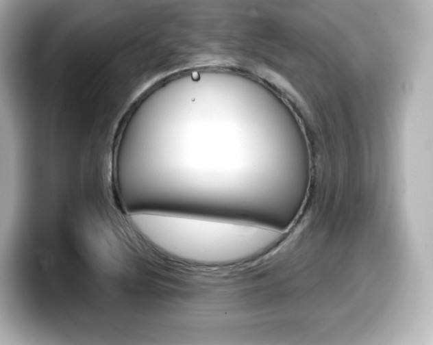 X0000099381220200805081152