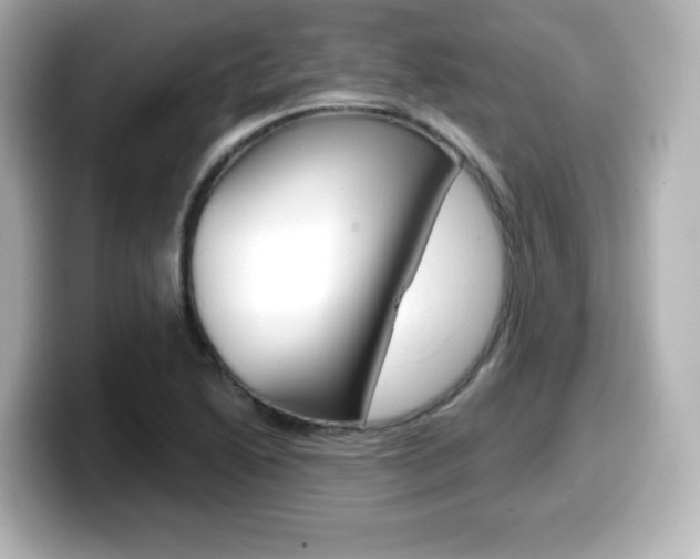 X0000099381222200805081152