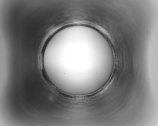 X0000099381223200805081152