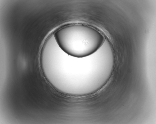 X0000099381224200805081152