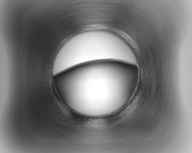 X0000099381225200805081152