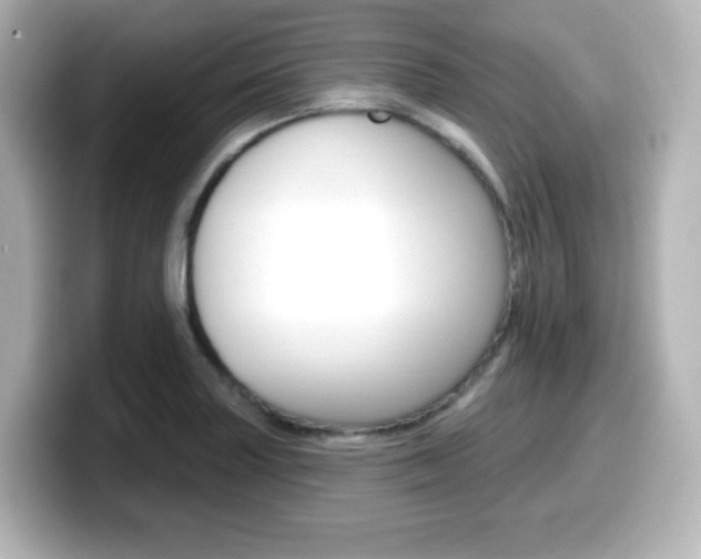 X0000099381227200805081152