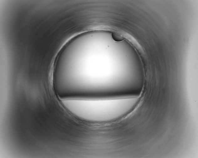 X0000099381228200805081152