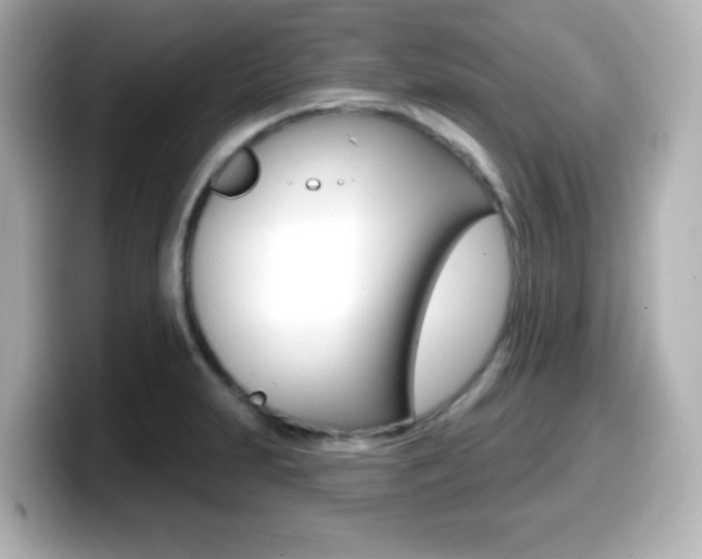 X0000099381231200805081152