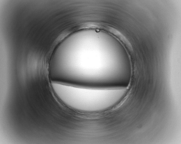 X0000099381233200805081152