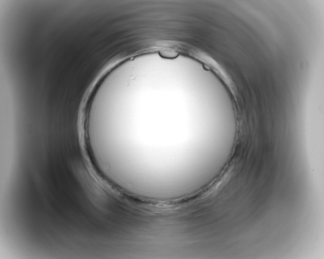 X0000099381235200805081152