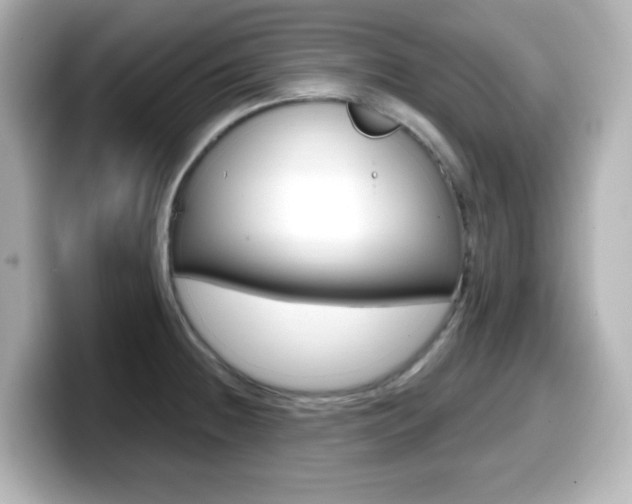 X0000099381236200805081152