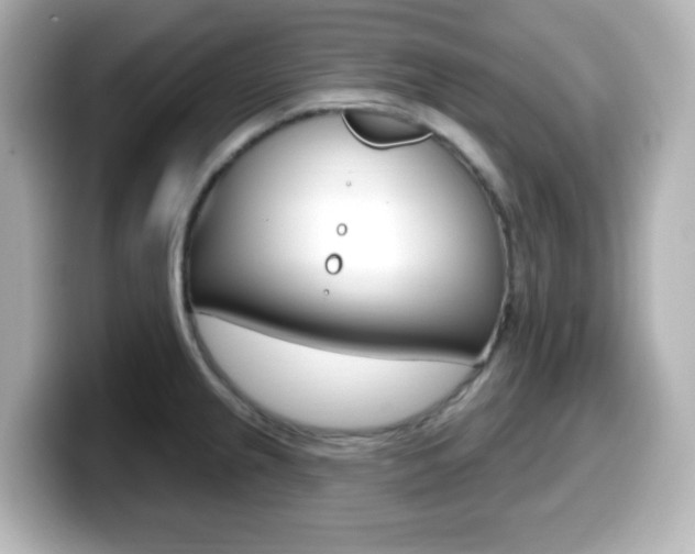 X0000099381237200805081152