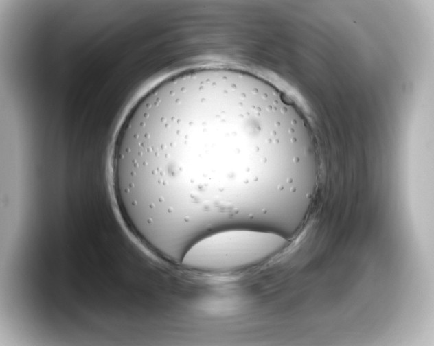 X0000099381239200805081152