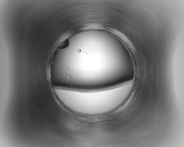 X0000099381241200805081152