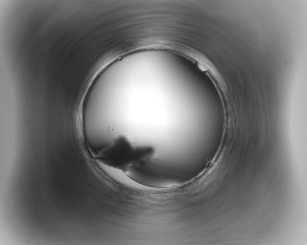 X0000099381242200805081152