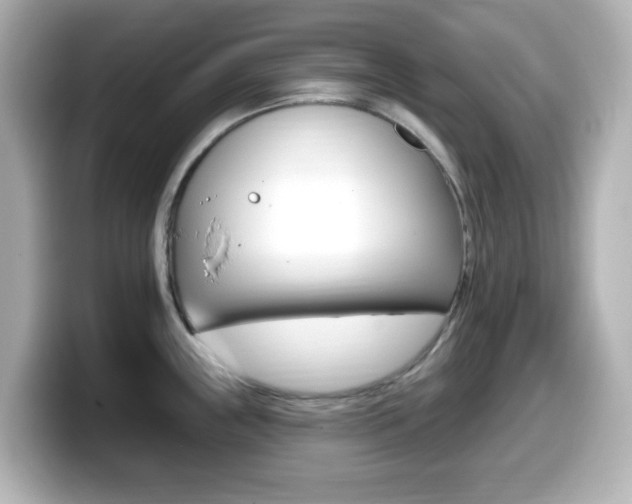 X0000099381243200805081152