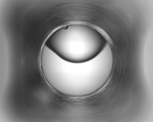 X0000099381244200805081152