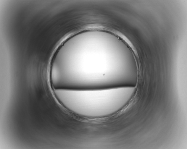 X0000099381245200805081152
