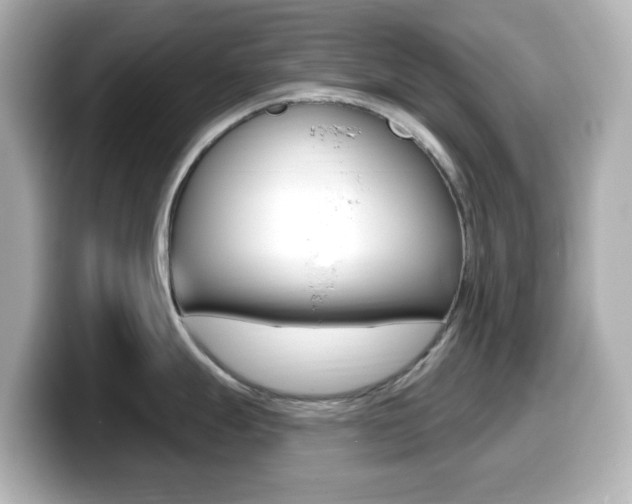 X0000099381247200805081152