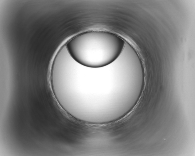 X0000099381248200805081153