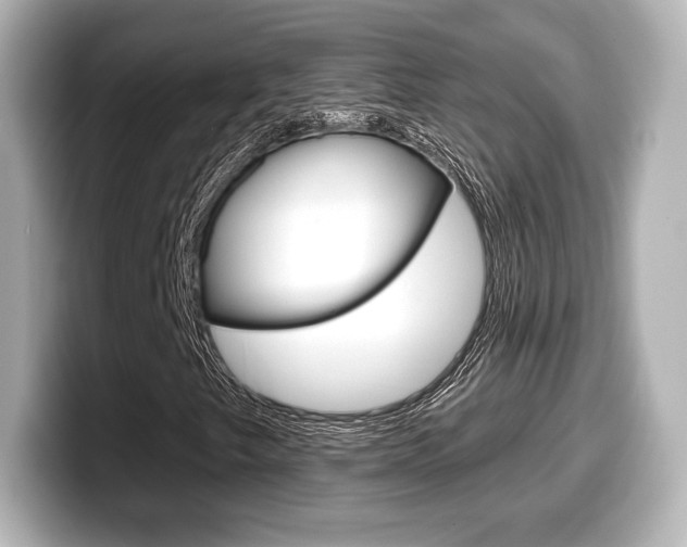X0000099381249200805081152