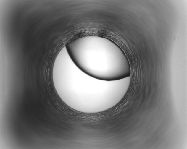 X0000099381250200805081152
