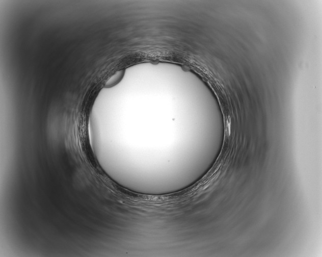 X0000099381251200805081152