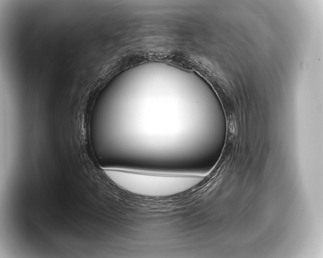 X0000099381252200805081152