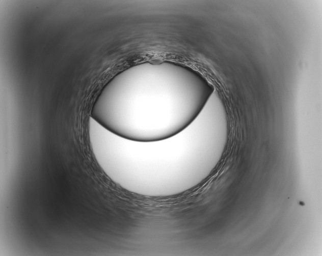X0000099381253200805081152