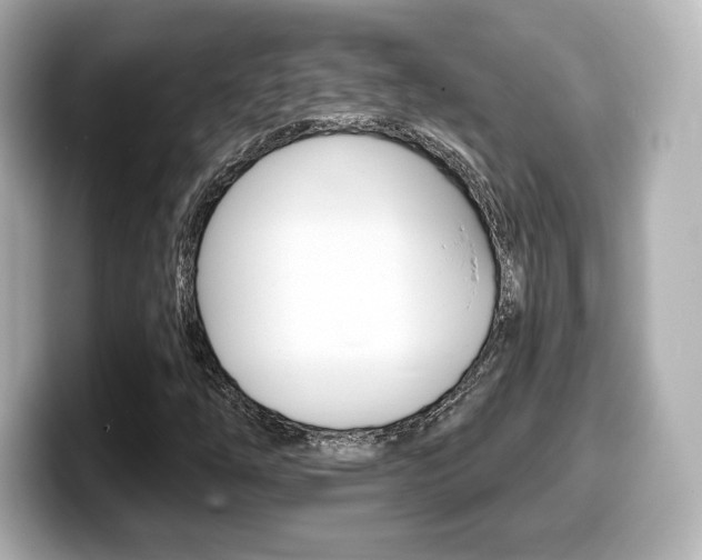 X0000099381254200805081152