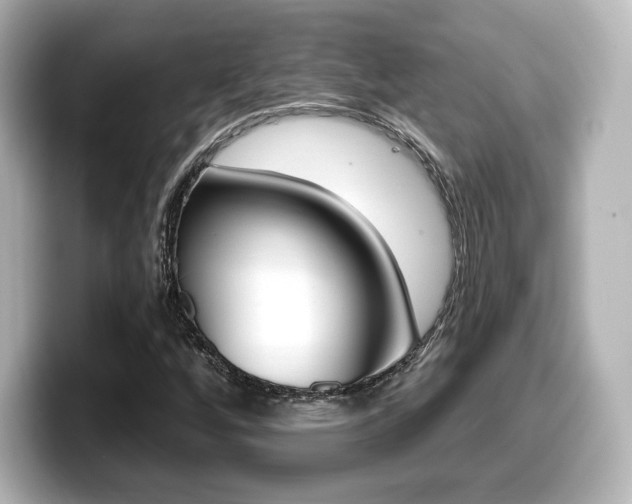 X0000099381256200805081152