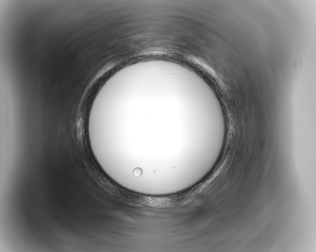 X0000099381258200805081152
