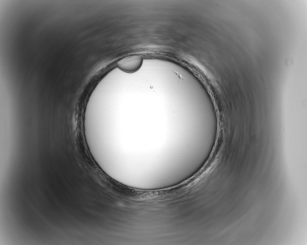 X0000099381259200805081152